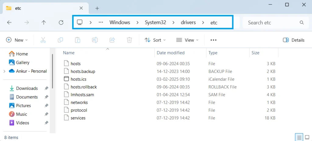 localhost hosts file